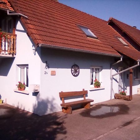 Les gîtes du lindenberg Dambach Extérieur photo